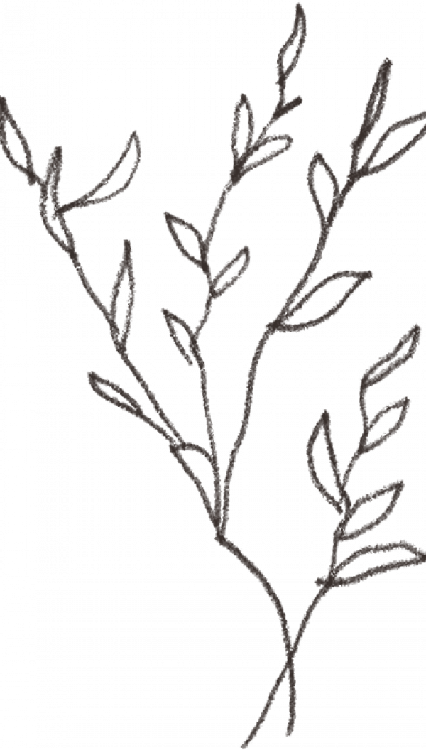 Twig illustration